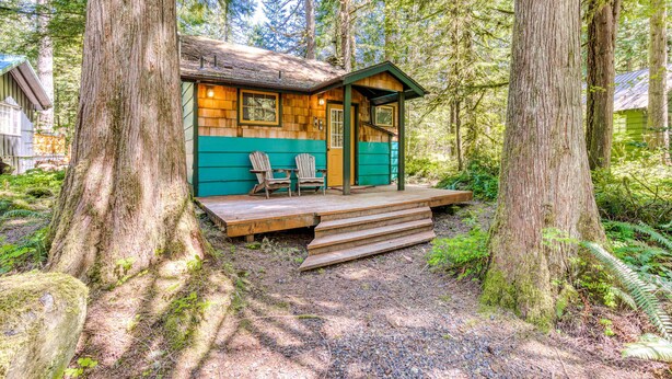 A cabin with a wooden deck, surrounded by trees. - Modern, cozy, dog-friendly mountain retreat in central location (Rhododendron)