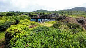 A modern house surrounded by lush greenery and hills.