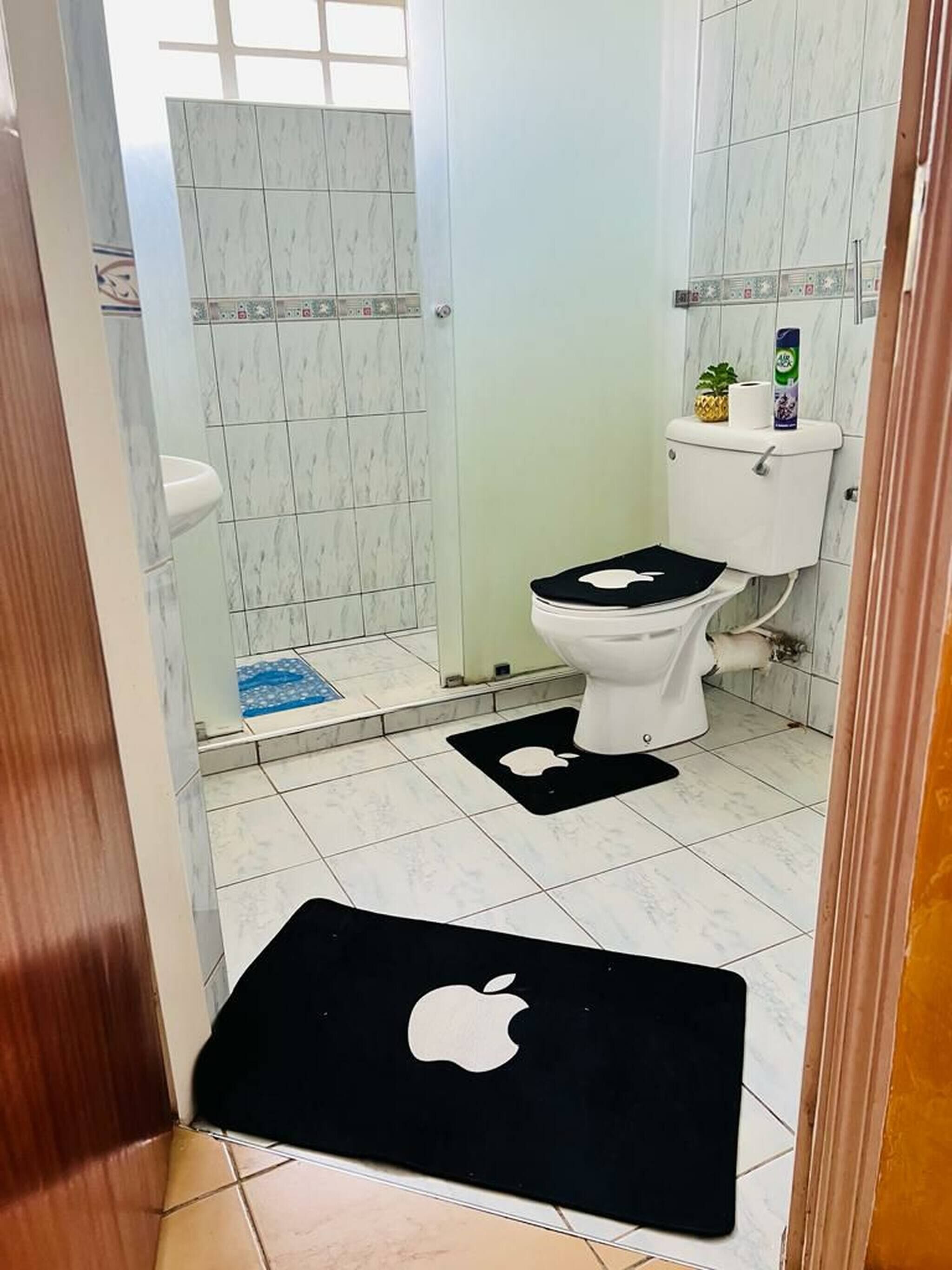 A bathroom with a toilet, a bidet, a toilet paper holder, and a small plant on the toilet tank.