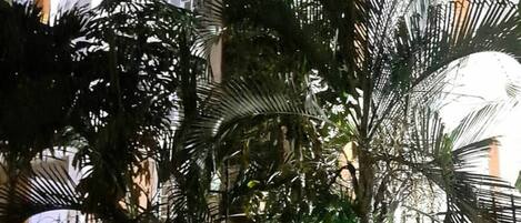 Apartment, 1 Bedroom | Exterior