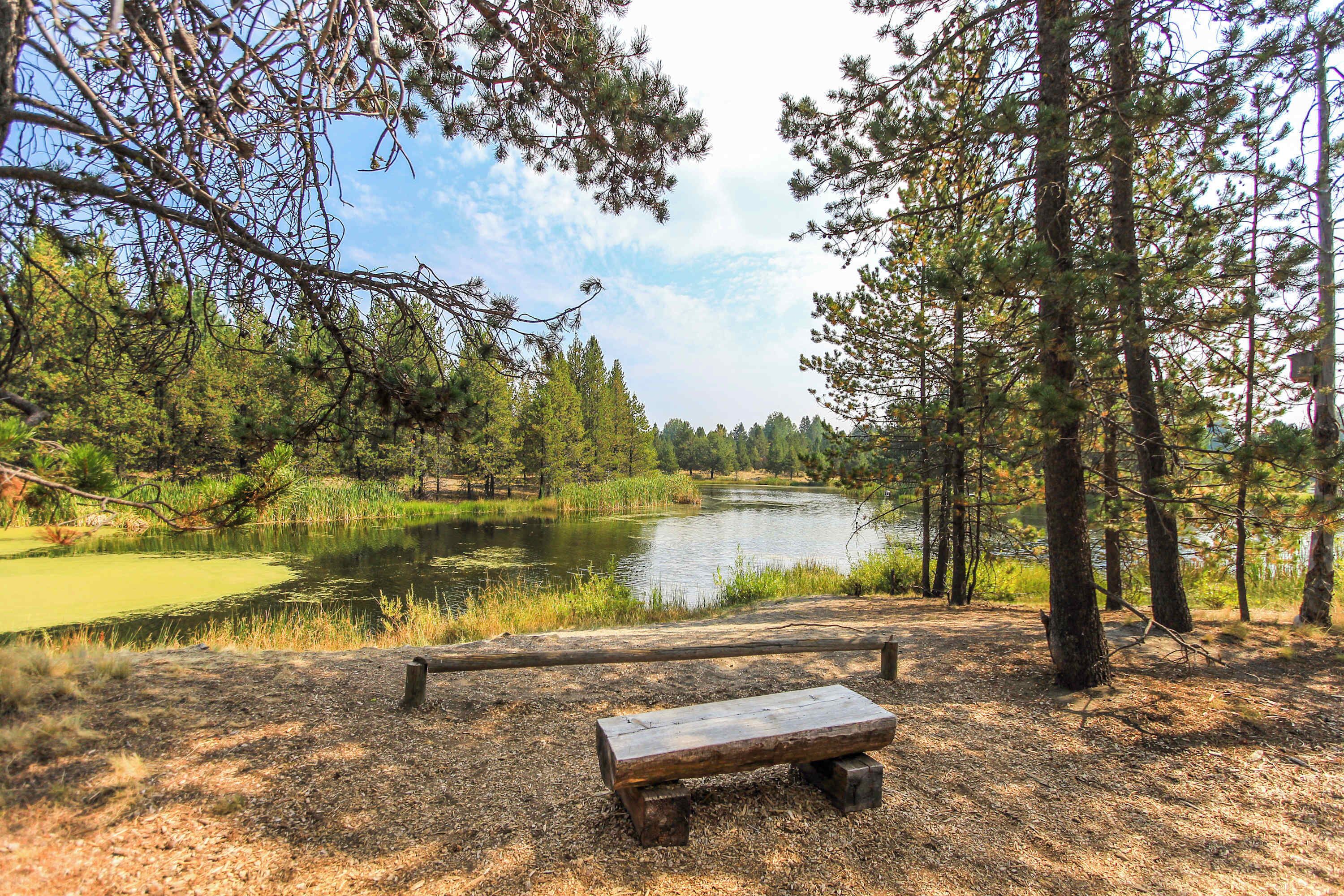 A bench in a forested area with a lake.