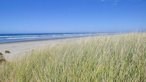 Ein Strand mit Sand und Gras im Vordergrund und dem Meer im Hintergrund.