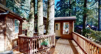 Tree-lined cabin with studio & gorgeous decks, just up from Whaleshead Beach