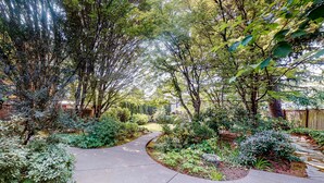 A curved pathway surrounded by dense greenery and trees.
