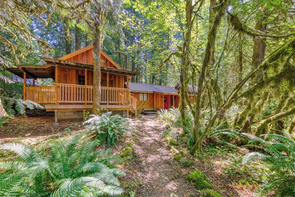 Exterior - Private cabin with hot tub & wood stove, near Mt Hood (Rhododendron)