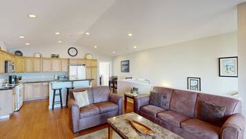 TV, fireplace, video games, DVD player