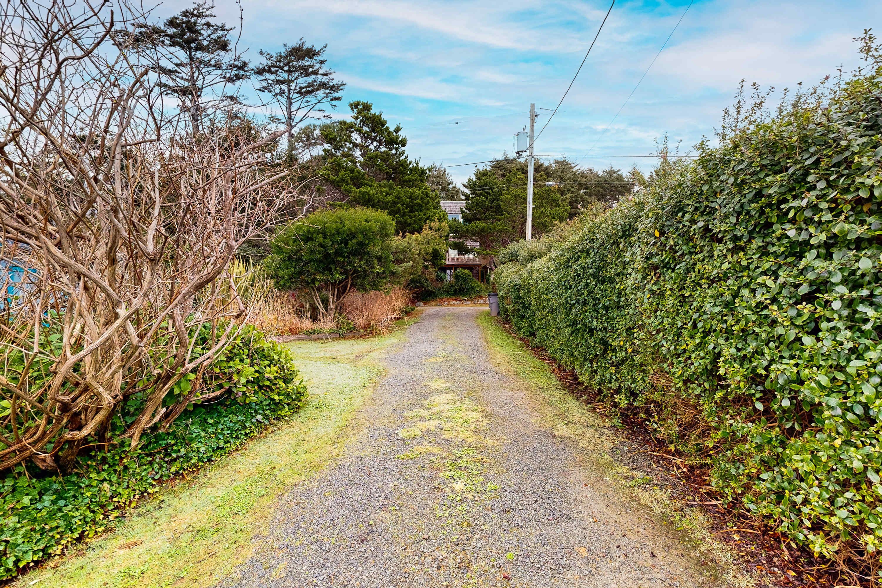 A gravel road flanked by dense foliage and a clear sky.