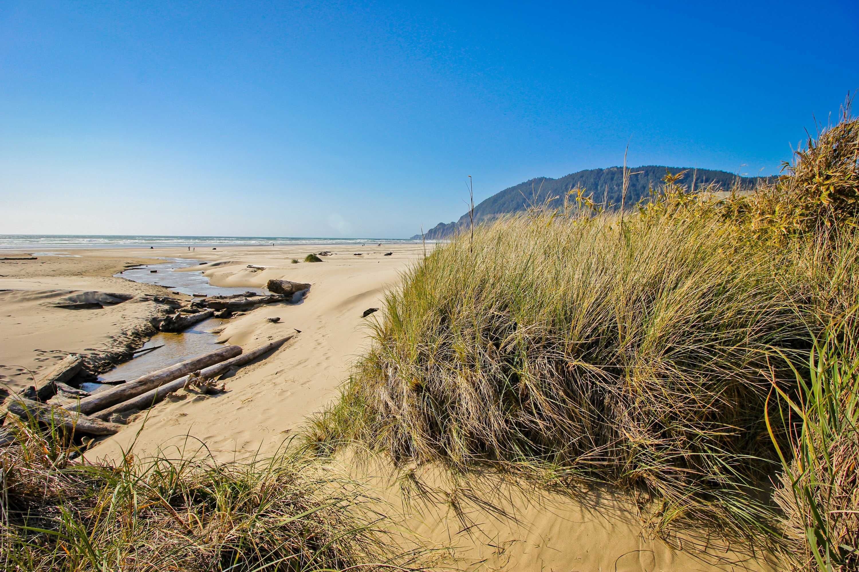 Playa en los alrededores 