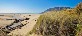 Dog-friendly home with beach access, washer&dryer, fireplace - near golf