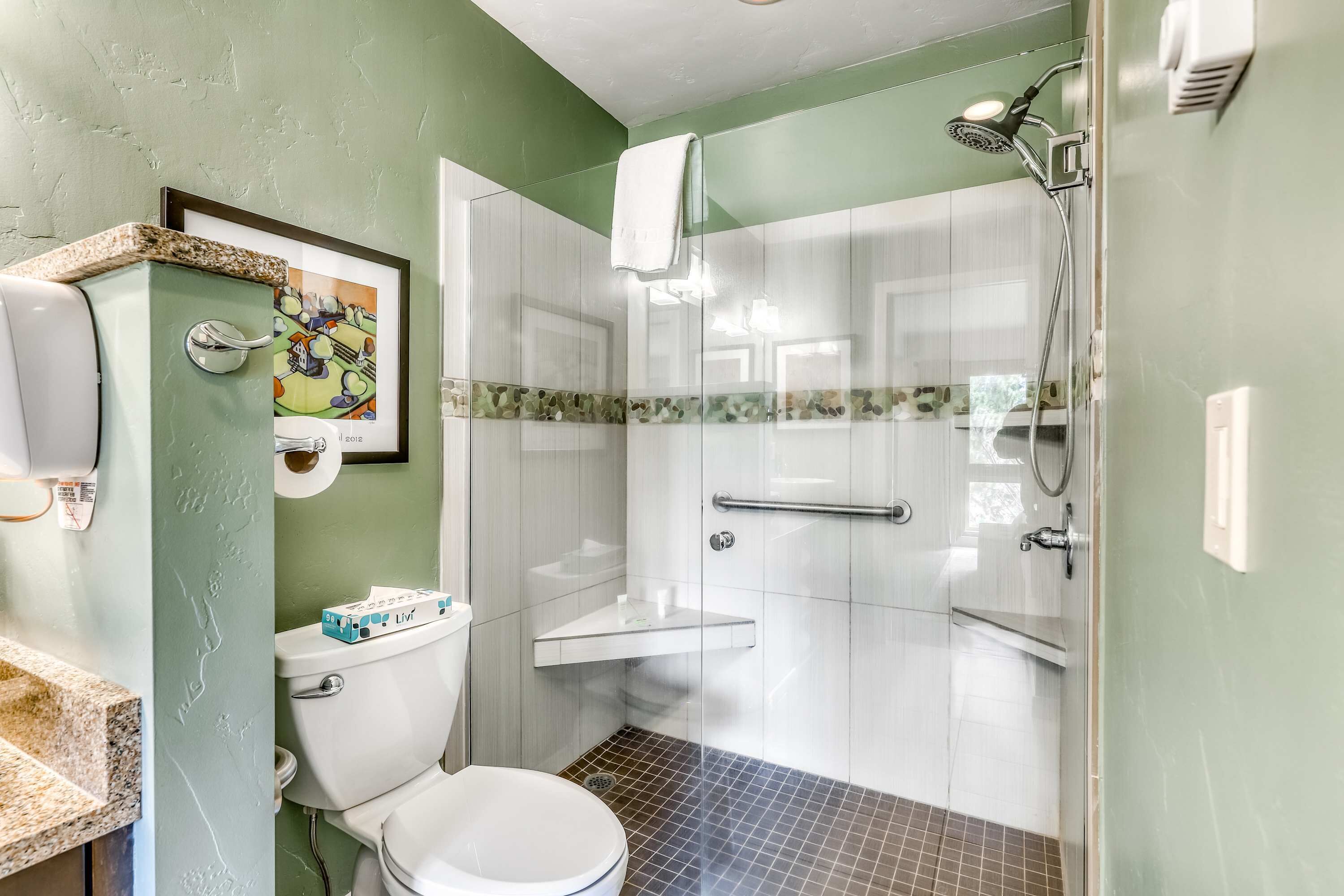 Een badkamer met toilet, douche en een foto in een lijst aan de muur.