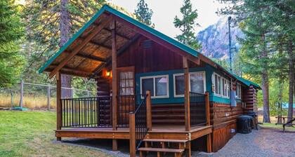 Classic Cabin w/ Gas Fireplace & Large Yard - Walk to the Lake, Dogs Welcome