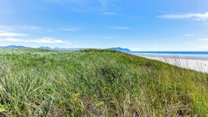 Un paisaje costero con dunas cubiertas de hierba, una playa y montañas lejanas bajo un cielo despejado.