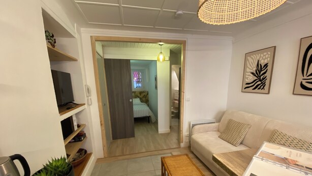 A living room with a sofa, a coffee table, a TV, and a bookshelf. - L'Echappé Médiévale in the heart of a small Alpine town (Veynes)