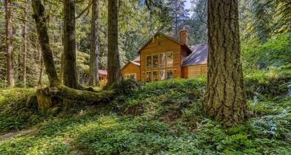 Classic riverfront home with great views, game room, hot tub, & modern cabin feel