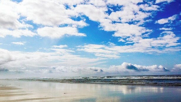 A beach with a clear sky and calm sea. - Experience Comfort and Serenity by the Sea, Dog Friendly with AC, & Patio (Yachats)