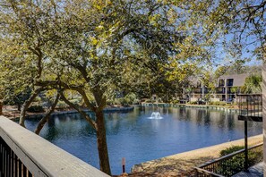 Property grounds - Waterfront condo with seasonal pools, hot tub, balcony, AC, & W/D (Hilton Head)
