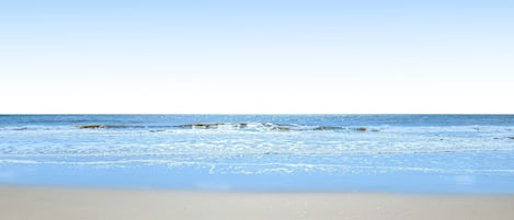 On the beach