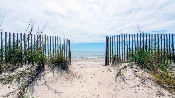 A beach path leading to the sea, surrounded by wooden fences and vegetation. - Newly renovated beachfront house w/Patio, Free WiFi, Private W/D, AC (Edisto Beach)