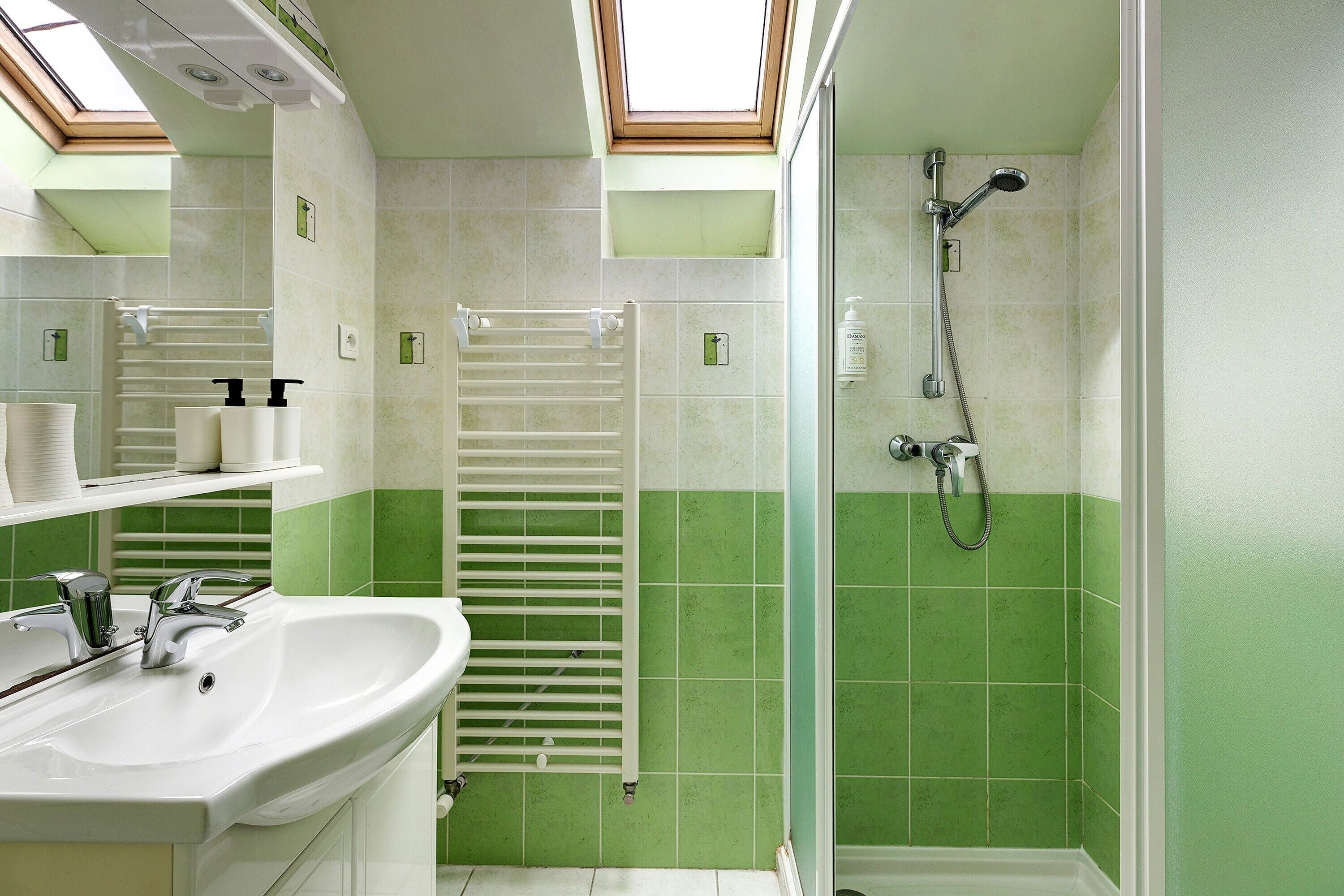 Une salle de bain avec un puits de lumière, une douche, un lavabo et un porte-serviettes.