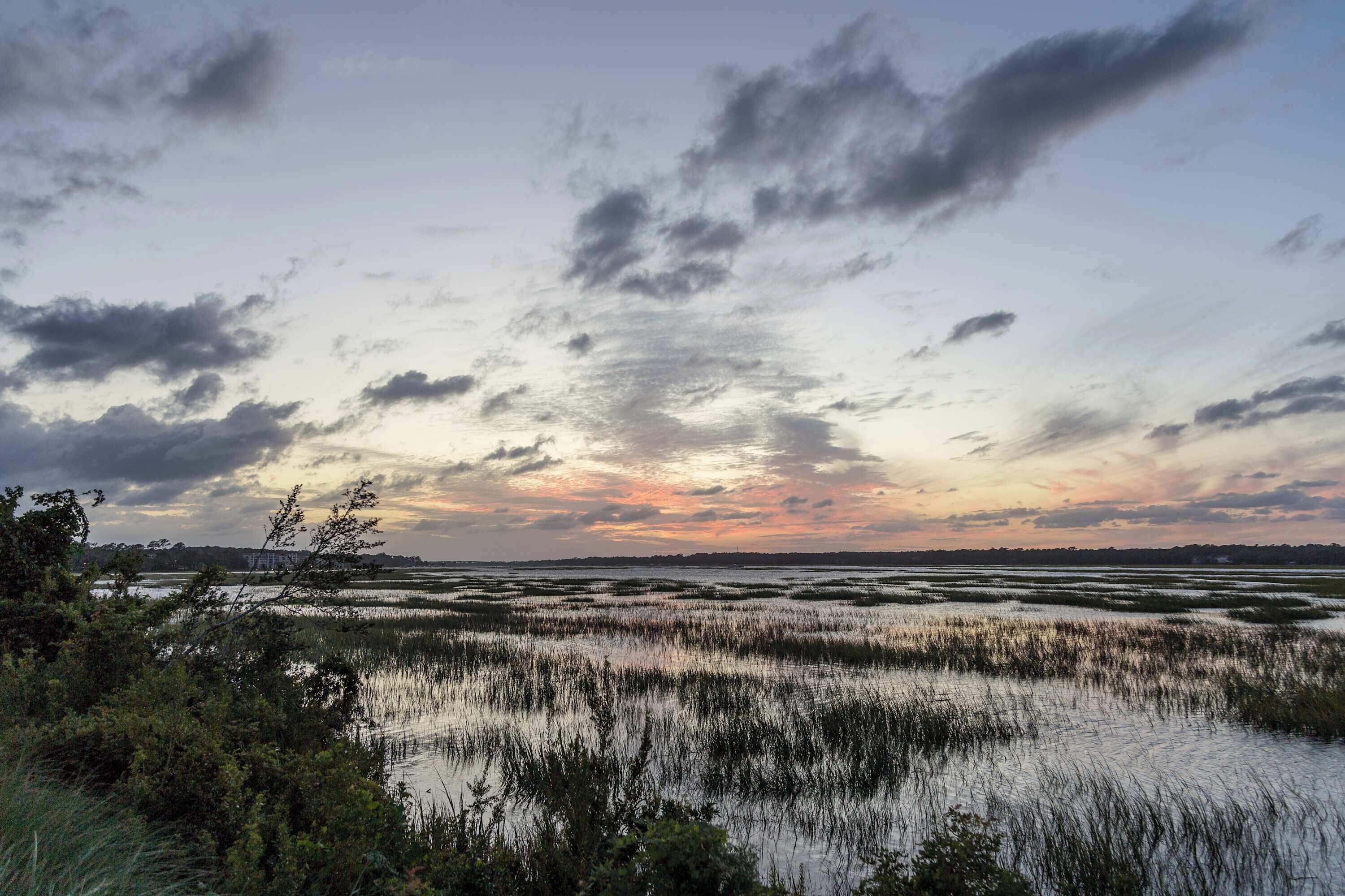 Un paysage naturel caractérisé par la présence d’eau et de végétation.