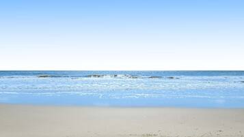 Nära stranden