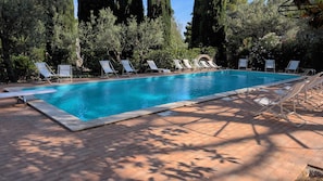Una piscina rectangular con agua cristalina azul, rodeada de sillas de descanso y árboles.