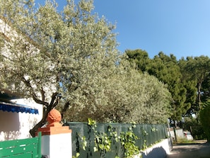 Una calle bordeada de árboles, una valla verde, un edificio blanco con detalles azules y un objeto esférico rojo sobre una estructura de ladrillo.