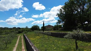 Paisagem rural com um muro de pedra, um caminho e uma casa rodeada de vegetação.