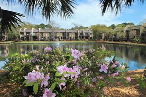 Property grounds - Airy, lagoon-view condo with pool, hot tub & tennis - walk to the beach (Hilton Head)
