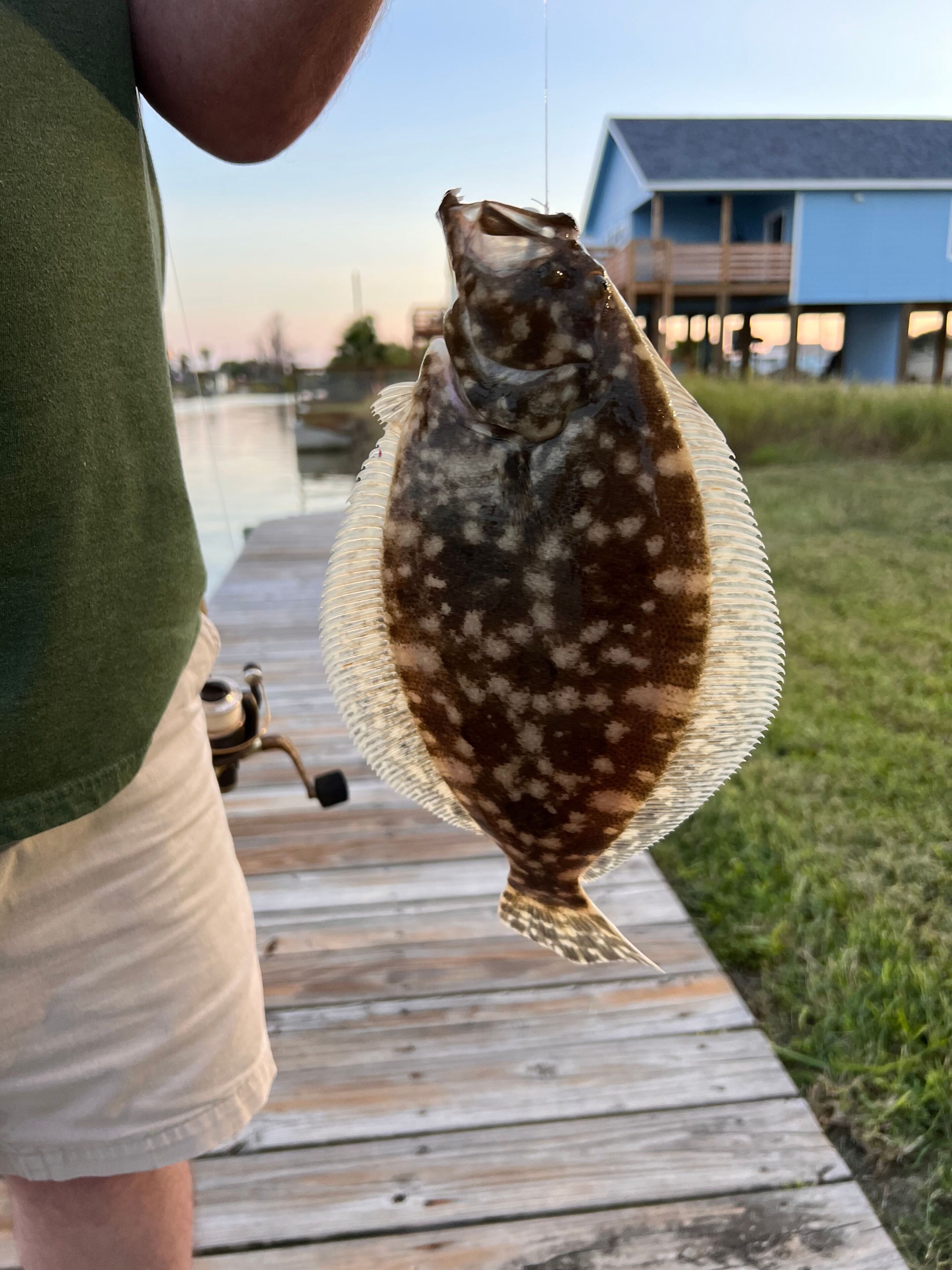 A person holding a fish on a wooden dock.