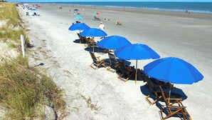 En strand med rader av blå parasoller och strandstolar, en sandstrand och havet i bakgrunden.