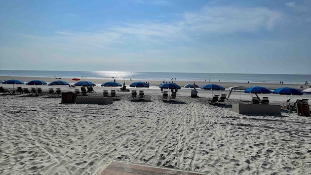 A beach with rows of blue umbrellas and lounge chairs. - Charming Townhome with Golf Course View,On-site Pool and Short Walk to Beach! (Hilton Head)