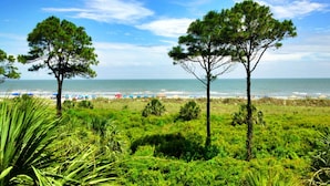 A beach with two prominent pine trees, a grassy foreground, and a view of the ocean with beach umbrellas. - Shorewood, Unit 530 Penthouse condo in Hilton Head with ocean views (Hilton Head)