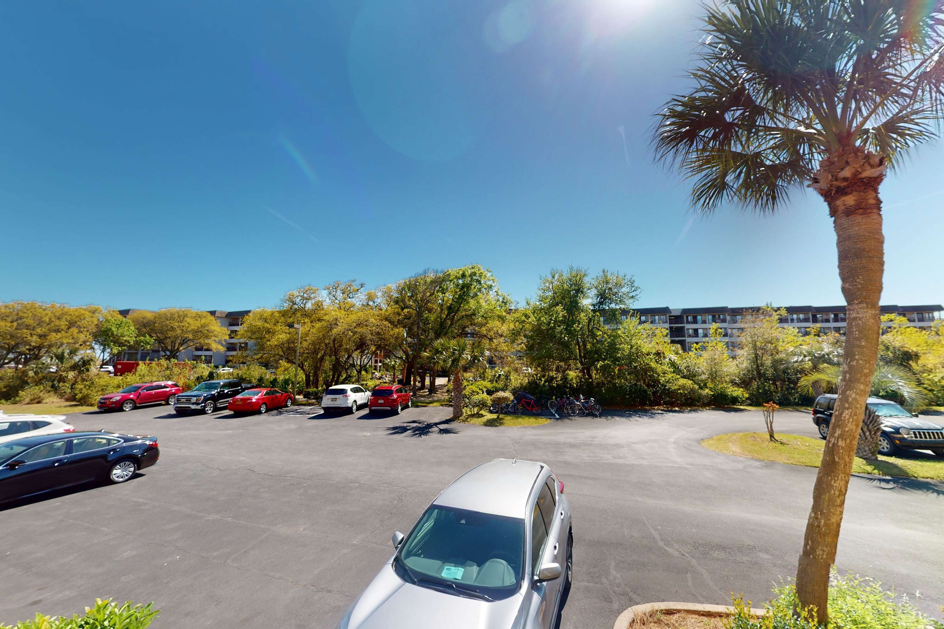 A parking lot with several cars, a palm tree, and buildings in the background.