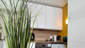 A compact kitchen with white cabinets, a black countertop, a small refrigerator, and a potted plant. - Le 4 Saisons (Ustou)