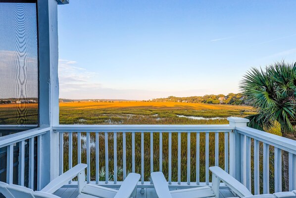 Property grounds - Lovely house 3 blocks to beach w/great salt marsh views, decks, screened porch (Edisto Beach)