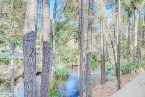 Property grounds - Dog-friendly condo with pool, central AC, & washer/dryer - quick walk to beach (Hilton Head)