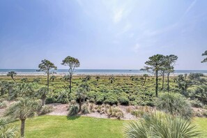 A coastal landscape with a beach, palm trees, and dense shrubbery. - Updated beach gem with ocean views, pool, hot tub, & tennis - snowbird-friendly (Hilton Head)