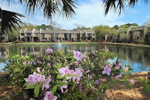 Property grounds - Cozy Villa with Private Balcony, Shared Pool & Hot Tub - Walk to the Beach (Hilton Head)