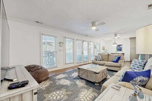 TV, offices - C Turtle (Edisto Beach)