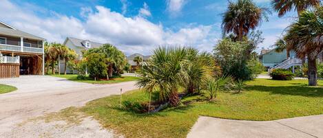 A residential street with houses, a driveway, and palm trees.