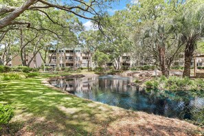 Property grounds - Beautiful Condo with pools,  hot tub, sauna,  and water views (Hilton Head)