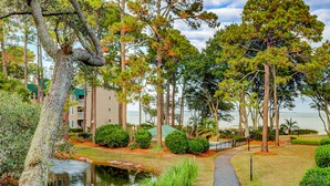 Un sentiero conduce a specchio d'acqua, circondato da alberi e un edificio con tetto verde.