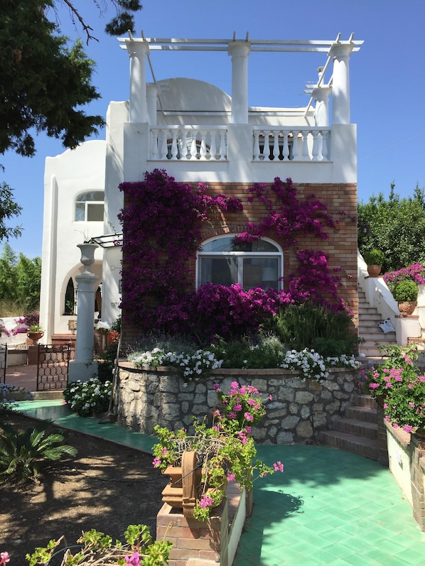 Property grounds - Villa Croce Anacapri. Residence history in the ancient heart of Anacapri. (Anacapri)