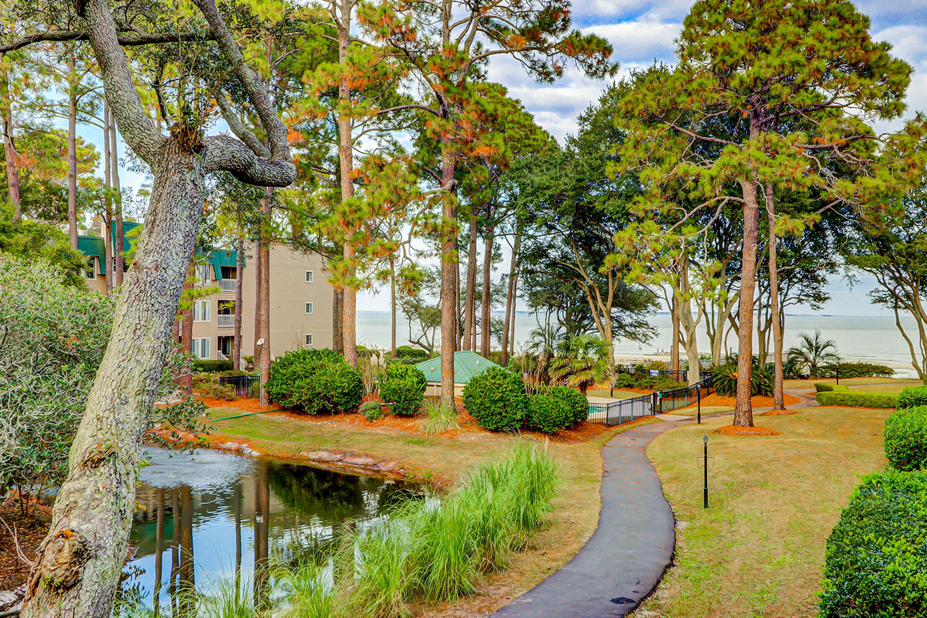 A pathway leading to a body of water, surrounded by trees and a building with a green roof.