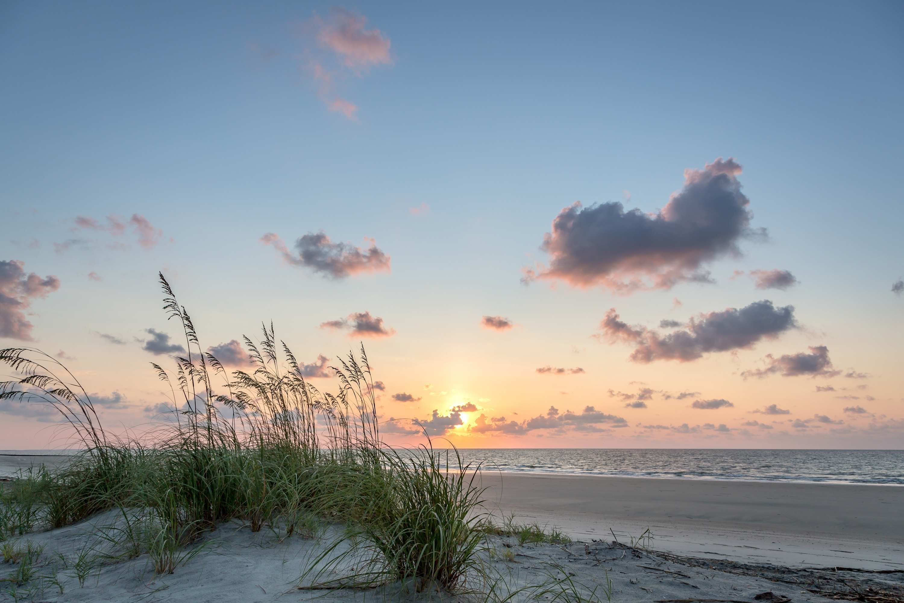 Vlak bij het strand