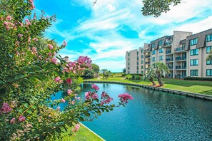 Property grounds - Villa with Private Beach Access, Pool, Hot Tub, Free WiFi, & Private W/D (Hilton Head)