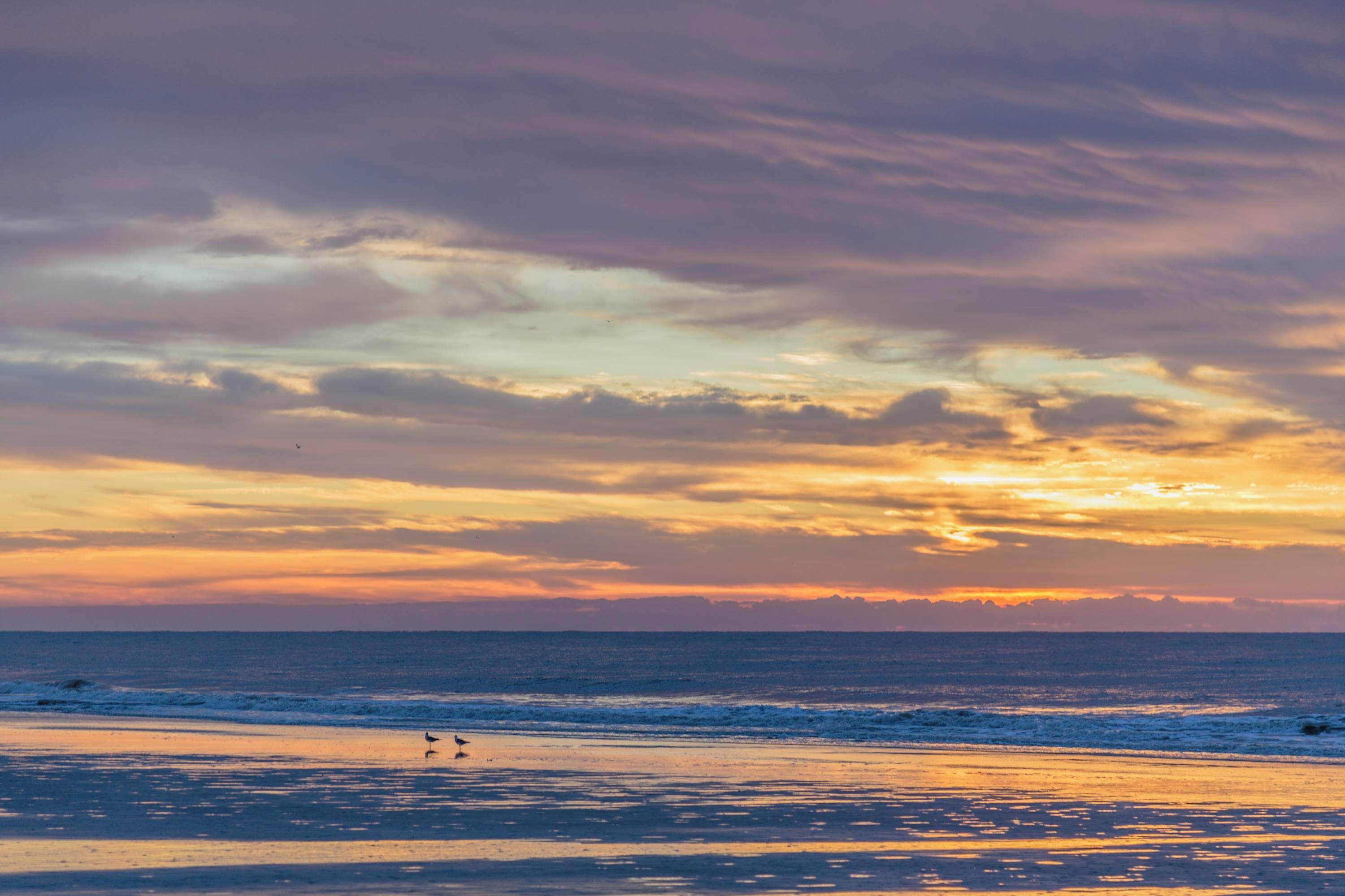A beach with a sunset and a bird on the sand.