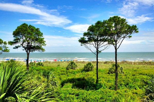 On the beach - Resort Condo with Al Fresco Dining, Shared Pool, Hot Tub & Beach Access (Hilton Head)