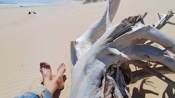Plage à proximité, chaises longues, serviettes de plage